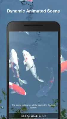 Koi Fish Live Wallpaper android App screenshot 1